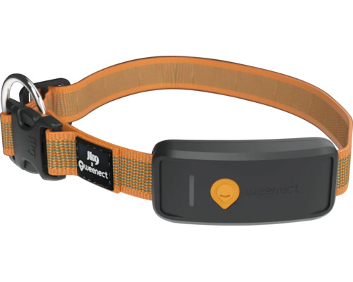 JK9 x Weenect Hundehalsband mit GPS-Tracker, verstellbar mit Klickverschluss und Ring.