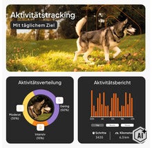 Infografik für GPS-Hundetracker mit Aktivitätstracking, Aktivitätsverteilung und Aktivitätsbericht mit Schritten und Kilometern. (Image AI modified or generated)