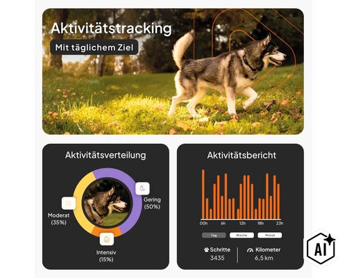 Infografik für GPS-Hundetracker mit Aktivitätstracking, Aktivitätsverteilung und Aktivitätsbericht mit Schritten und Kilometern. (Image AI modified or generated)