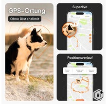 GPS-Tracker für Hunde mit App-Darstellung für Ortung ohne Distanzlimit, Live-Tracking und Positionsverlauf. (Image AI modified or generated)