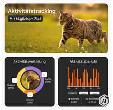 Infographie sur le suivi d'activité pour chats avec collier traceur, affichant la répartition de l'activité, les pas et les kilomètres. (Image AI modified or generated)