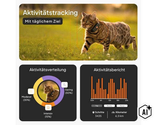 Infographie sur le suivi d'activité pour chats avec collier traceur, affichant la répartition de l'activité, les pas et les kilomètres. (Image AI modified or generated)