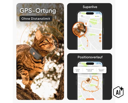Traceur GPS pour chats avec localisation en temps réel sans limite de distance et historique de position via une application. (Image AI modified or generated)