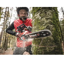 Person beim Sägen eines Baumstamms im Wald mit einer Einhell Akku-Kettensäge, Schwertlänge 35 Zentimeter.