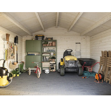 Abri de jardin en bois bien rangé avec armoire de rangement, tondeuse autoportée, outils de jardinage, tricycle et sol pavé.