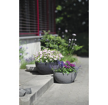 Deux coupes à plantes rondes aspect pierre avec des fleurs colorées dans un jardin.