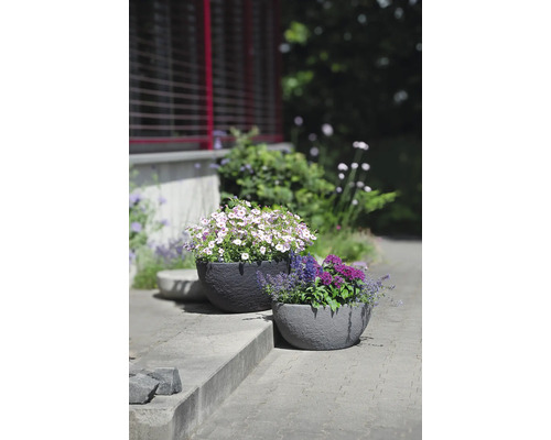 Deux coupes à plantes rondes aspect pierre avec des fleurs colorées dans un jardin.