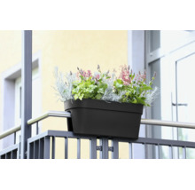 Jardinière de balcon montée directement sur la balustrade et plantée de diverses plantes.