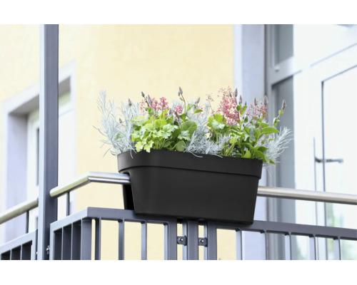 Jardinière de balcon montée directement sur la balustrade et plantée de diverses plantes.