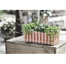 Blumenkasten in Zaunoptik bepflanzt mit grünen Hängepflanzen und weißen Blüten, platziert auf einer Holzkiste.