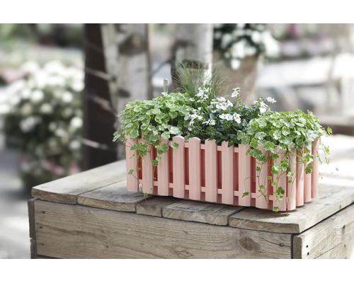 Blumenkasten in Zaunoptik bepflanzt mit grünen Hängepflanzen und weißen Blüten, platziert auf einer Holzkiste.