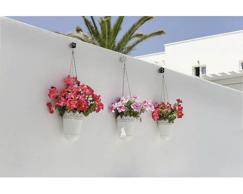 Trois suspensions pour plantes blanches avec des pétunias en fleurs, accrochées à un mur blanc à l'aide de crochets.