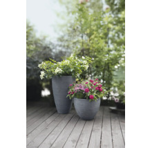 Deux bacs à fleurs gris avec structure rainurée, plantés de fleurs sur une terrasse en bois dans le jardin.