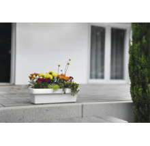 Rechteckiger, weißer Blumenkasten bepflanzt mit bunten Blumen auf einer modernen Terrasse aus Steinplatten.