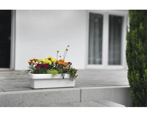 Rechteckiger, weißer Blumenkasten bepflanzt mit bunten Blumen auf einer modernen Terrasse aus Steinplatten.