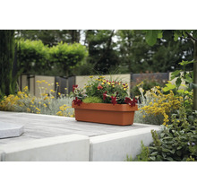 Jardinière rectangulaire plantée de fleurs colorées sur une terrasse pavée dans le jardin.
