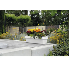 Jardinière rectangulaire blanche plantée de fleurs colorées sur une terrasse dans le jardin.
