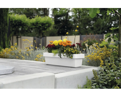 Jardinière rectangulaire blanche plantée de fleurs colorées sur une terrasse dans le jardin.