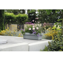 Jardinière rectangulaire plantée de fleurs sur une terrasse pavée dans un jardin.