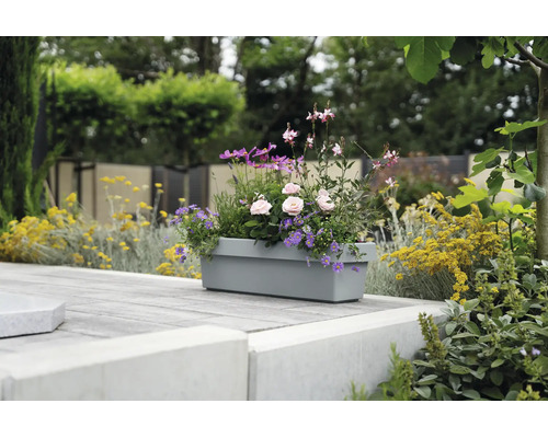 Jardinière rectangulaire plantée de fleurs sur une terrasse pavée dans un jardin.