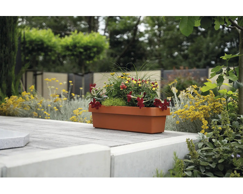 Ein terrakottafarbener, rechteckiger Balkonkasten, bepflanzt mit bunten Blumen, steht auf einer gepflasterten Garten-Terrasse.