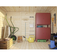 Abri de jardin en bois bien rangé avec armoire métallique, brouette, échelle et divers outils de jardinage sur un mur en bois.