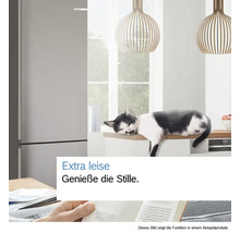 Eine Katze schläft auf einer Küchenarbeitsplatte neben einem sehr leisen Bosch Kühlschrank in einer modernen und hellen Wohnküche.
