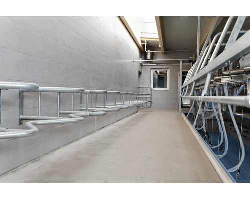 Salle de traite moderne avec séparations en métal, équipement de traite et murs carrelés dans un bâtiment agricole fonctionnel.