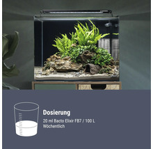 Installation d un aquarium Dennerle NanoCube avec plantes et pierres incluant les instructions de dosage pour le soin de l eau Bacto Elixir FB7.