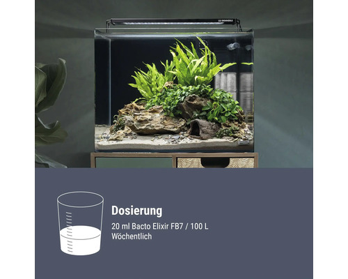 Installation d un aquarium Dennerle NanoCube avec plantes et pierres incluant les instructions de dosage pour le soin de l eau Bacto Elixir FB7.