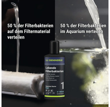Bouteille de bactéries de filtration vivantes Dennerle Aquarium Starter 100 millilitres avec instructions d application