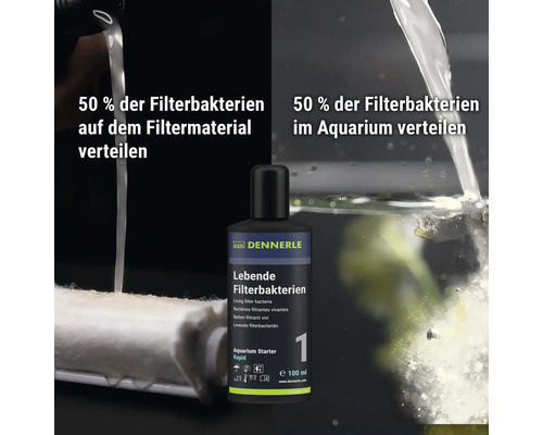 Bouteille de bactéries de filtration vivantes Dennerle Aquarium Starter 100 millilitres avec instructions d application
