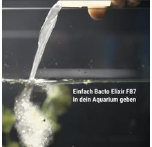 Ajout de Bacto Elixir FB7 dans un aquarium pour le traitement biologique de l'eau.