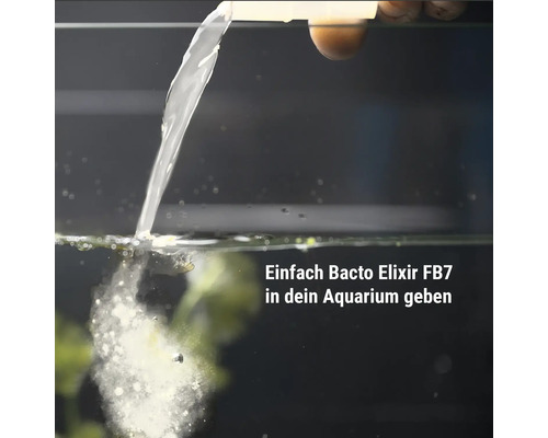 Ajout de Bacto Elixir FB7 dans un aquarium pour le traitement biologique de l'eau.