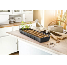 Plateau de culture pour graines avec jeunes pousses sur une table de cuisine, accompagné d'une pelle de jardinage et d'un arrosoir.