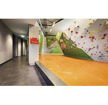 Innenansicht einer Kletterhalle mit Kletterwänden, bunten Klettergriffen und einem Fallschutzboden sowie einem Erste Hilfe Kasten an der Wand.