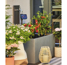 Programmateur d irrigation Gardena sur un robinet extérieur avec des bacs à fleurs et des plants de légumes sur une terrasse.