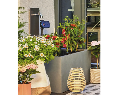 Programmateur d irrigation Gardena sur un robinet extérieur avec des bacs à fleurs et des plants de légumes sur une terrasse.