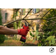 Une personne utilise un sécateur électrique sans fil Felco pour couper des branches dans un jardin. (Image AI modified or generated)