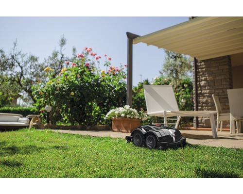 Robot tondeuse sur pelouse devant terrasse et jardin