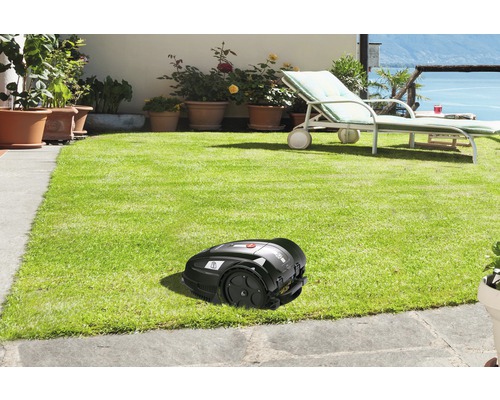 Rasenmähroboter auf Rasenfläche im Garten