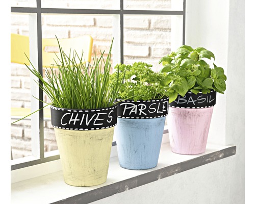 Trois pots d''herbes aromatiques avec de la ciboulette, du persil et du basilic sur un rebord de fenêtre