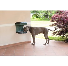 Futterstation Bama Maxi 50 x 29 x 52 cm grün, zur Wandbefestigung