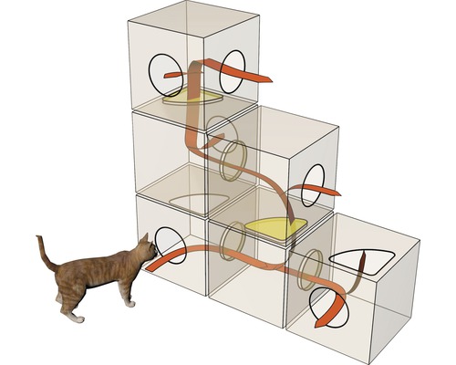 Chat devant une maison pour chat modulaire en forme d''escalier