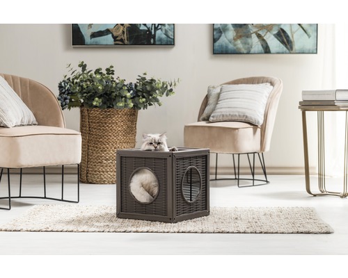 Chat dans une maison pour chat modulaire en rotin dans le salon.