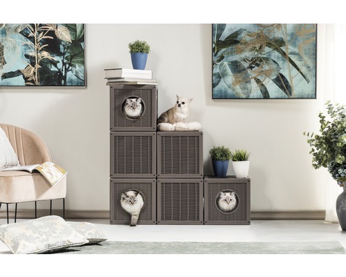 Salon avec maison pour chat modulable, chats et petit chien