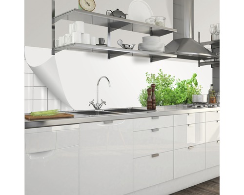 Küchenszene mit Spüle, Armatur, Kräutern und Regalen