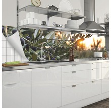 Crédence de cuisine avec motif de branche d''olivier dans une cuisine moderne
