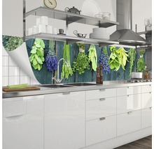Crédence de cuisine avec motif d''herbes aromatiques dans une cuisine moderne