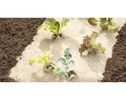 Plants potagers sur une plate-bande avec un voile de jardin